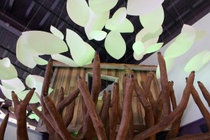 Exploring Harrisonburg: Explore More Discovery Museum