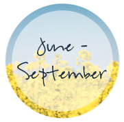 June - September Events in Harrisonburg, VA | Harrisonblog