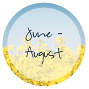 June - August Events in Harrisonburg, VA | Harrisonblog