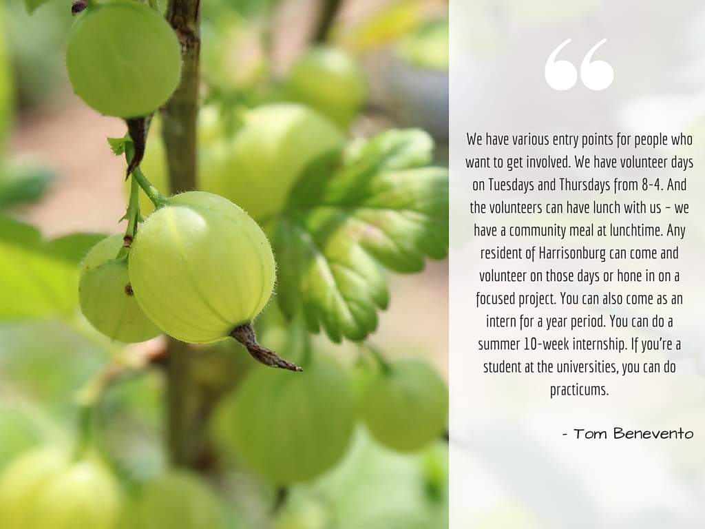 Vine & Fig | The New Community Project | Harrisonburg