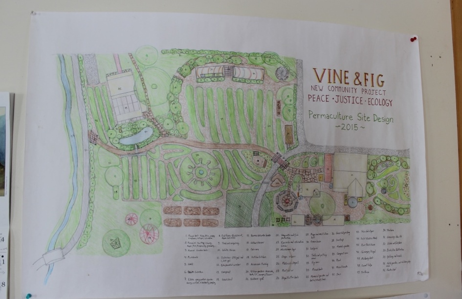 Vine & Fig | The New Community Project | Harrisonburg