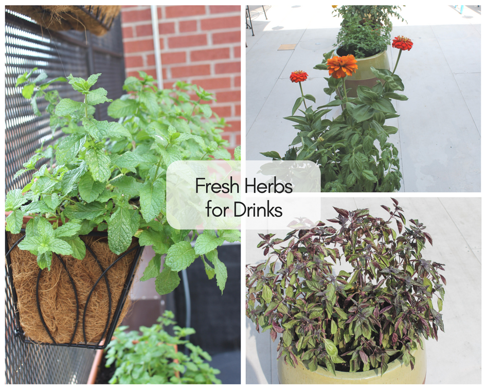 Herbs on the Rooftop | The Harrisonburg Homes Team