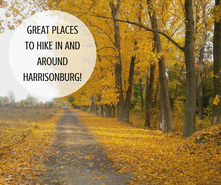 Great Places to Hike in and Around Harrisonburg! | Harrisonburg Homes Team