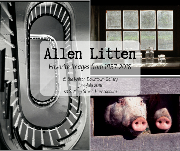 Allen Litten | Wilson Downtown Gallery