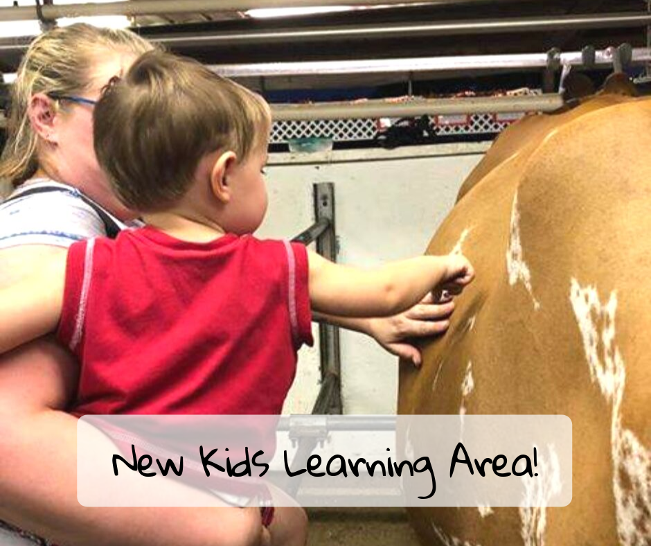 Kids Learning Area